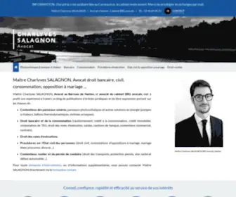 Salagnon-Avocat-Nantes.fr(Avocat droit civil) Screenshot