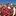 Salaikawltu.com Favicon