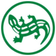 Salamander.ge Favicon