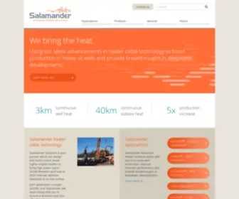 Salamandersolutions.com(Salamander Advanced Heater Solutions) Screenshot