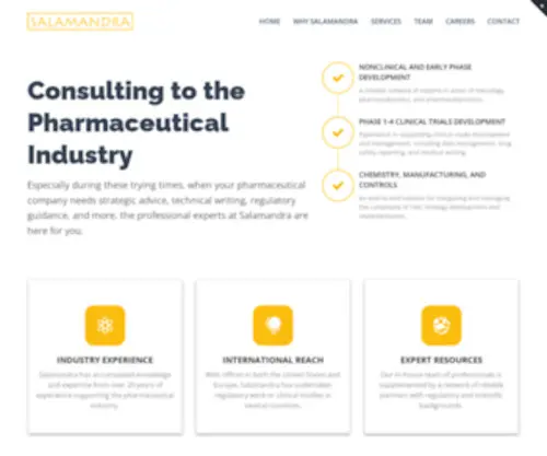 Salamandra.net(Strategic, technical, and regulatory consulting) Screenshot