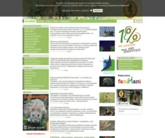 Salamandra.org.pl(PTOP Salamandra) Screenshot