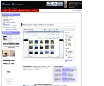 Saleensoftware.com(Saleen Software) Screenshot
