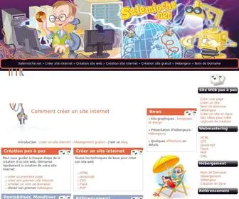 Salemioche.net(Les étapes pour réussir son site web et assurer gratuitement sa présence sur internet) Screenshot