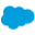 Salesforce-Experience.com Favicon