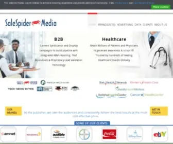 Salespidermedia.com(SaleSpider Media) Screenshot