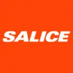 Saliceamerica.com Favicon