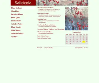 Salicicola.com(Salicicola) Screenshot