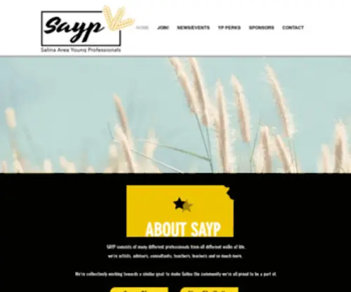 Salinakansasyp.com(Kansas) Screenshot