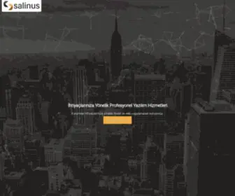 Salinus.com(Salinus Bilgi Teknolojileri) Screenshot