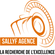 Sallyfagence.com Favicon