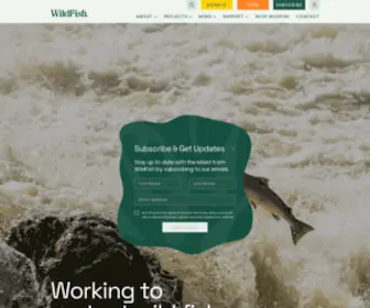 Salmon-Trout.org(Salmon Conservation) Screenshot