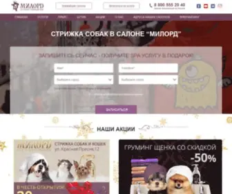 Salon-Milord.ru(Стрижка собак в Москве в зоосалоне) Screenshot