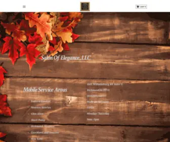 Salonofelegance.com(Professional salon services) Screenshot