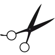 Salonzyla.cz Favicon