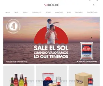 Salroche.com(SAL ROCHE) Screenshot