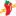 Salsa.net Favicon