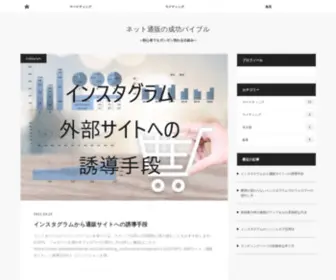 Salsadebanderas.com(ネット通販の成功バイブル) Screenshot