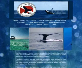 Saltcaydivers.tc(Dive Salt Cay Divers) Screenshot