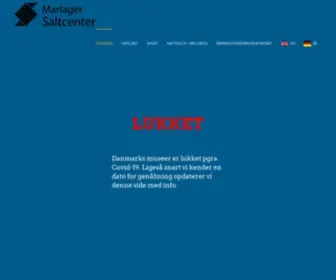 Saltcenter.com(Mariager Saltcenter) Screenshot