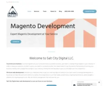 Saltcitydigital.com(Reliable Outsourcing Partner for Custom Web Development) Screenshot