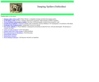 Salticidae.org(Jumping Spiders (Salticidae)) Screenshot