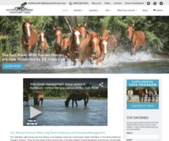 Saltriverwildhorsemanagementgroup.org(The Salt River Wild Horse Management Group) Screenshot