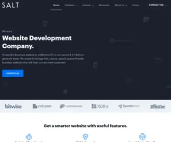 Salttechno.com(Website Design Company in Pune) Screenshot