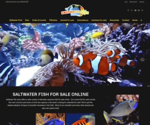 Saltwaterfishshop.com(Saltwaterfishshop) Screenshot