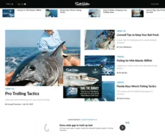 Saltwatersportsman.com(Saltwater Fishing) Screenshot