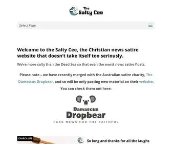 Saltycee.com(The Salty Cee) Screenshot