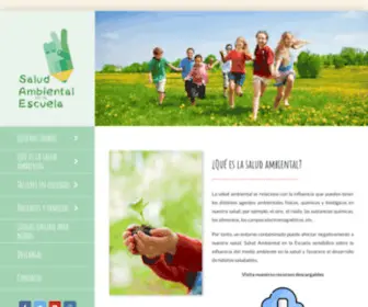 Saludambientalenlaescuela.org(Salud ambiental en la escuela) Screenshot