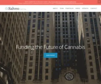 Salveocapital.com(Salveo Capital) Screenshot