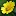 Salvia-Divinorum.info Favicon