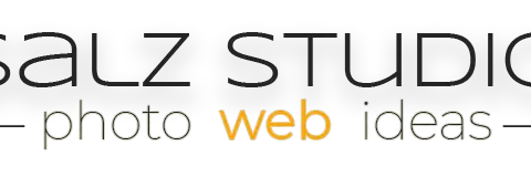 Salzstudio.com Logo