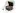 SamocVeti.eu Favicon