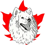 Samoyed.ca Favicon