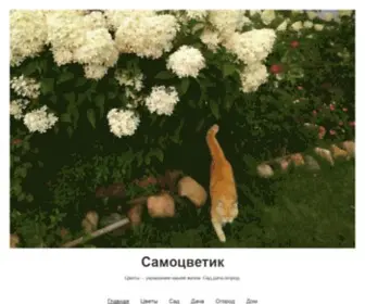 Samozvetik.ru Screenshot