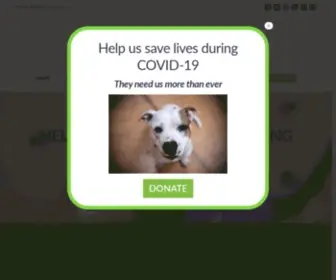 Sanantoniopetsalive.org(San Antonio Pets Alive) Screenshot