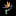 Sanbi.org Favicon