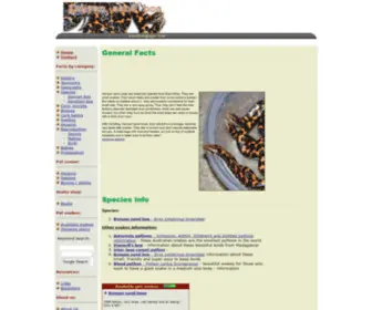 Sandboapage.com(Kenyan sand boa page) Screenshot