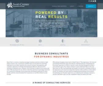 Sandcherryassociates.com(Business Consulting Firm in Denver) Screenshot