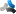 Sandecaplin.com Favicon