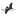 Sandhillsinventory.com Favicon