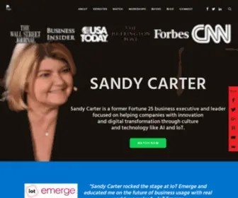 Sandycarter.net(Award winning keynote speaker Sandy Carter) Screenshot