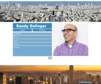 Sandyselinger.com(Sandy Selinger) Screenshot