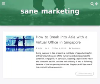 Sanemarketing.com(Real Estate Marketing and Lead Generation System) Screenshot