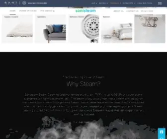 Sanisteam.com(Sanisteam) Screenshot