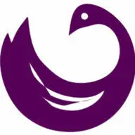 Sankofajourney.com Favicon