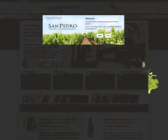 Sanpedro.cl(San Pedro) Screenshot